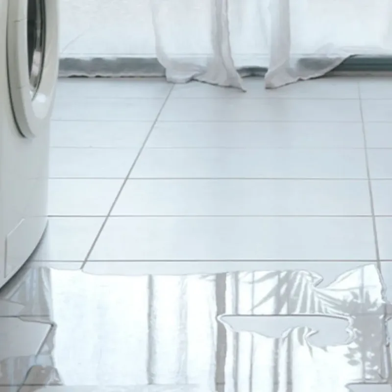 Appliance Leak Cleanup in Blossom, TX
