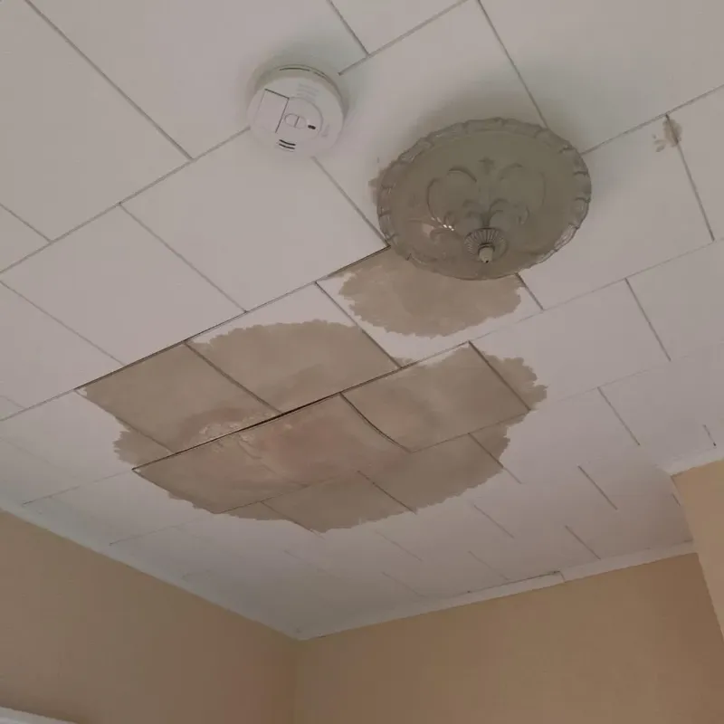 Ceiling Water Damage Repair in Blossom, TX