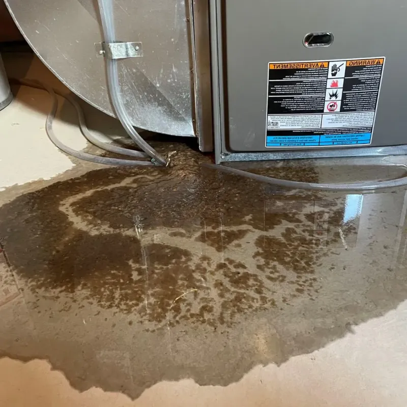 Pipe Burst and Leak Restoration in Blossom, TX