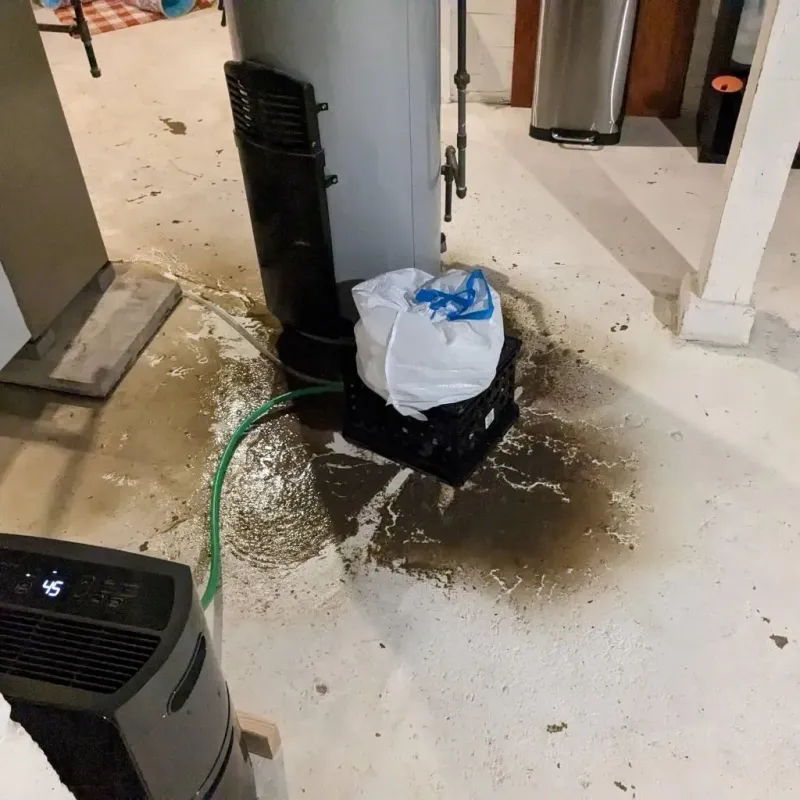 Sewage Backup Cleanup Service in Blossom, TX